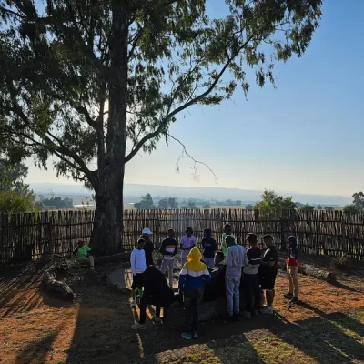 Hillside Haven - Under tree